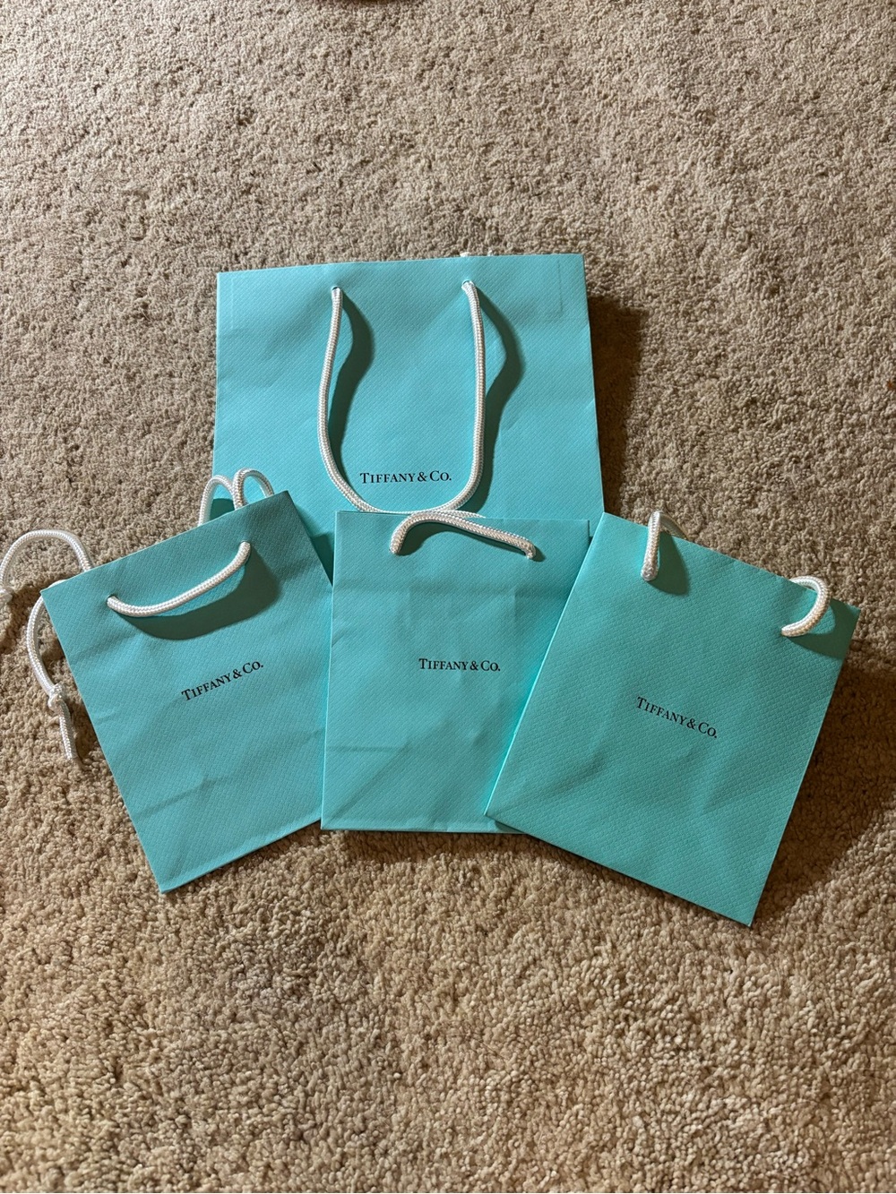 Tiffany & Co. Small & Medium Signature Blue Gift Bags with White Rope Handles